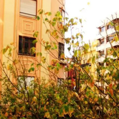 Отель XY Travellers Guest House Испания, Валенсия - 1 отзыв об отеле, цены и фото номеров - забронировать отель XY Travellers Guest House онлайн фото 2