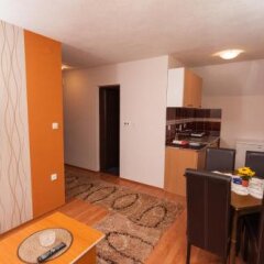 Guesthouse Dabić in Zlatibor, Serbia from 171$, photos, reviews - zenhotels.com guestroom photo 4