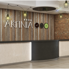 Hotel Aktinia Солнечный берег интерьер отеля фото 3