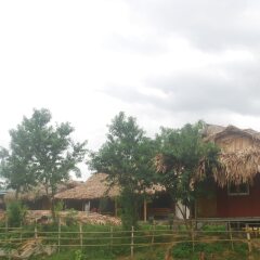 Отель Golden Rice Garden Sapa Шапа фото 15