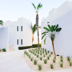 Отель Marquis Los Cabos, Resort & Spa - Adults Only развлечения