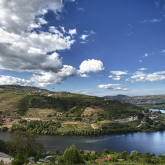 Отель Delfim Douro Ламего приотельная территория