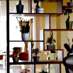 New century hotel интерьер отеля фото 2