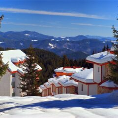 Апартаменты Forest Glade Apartments Пампорово