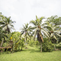Отель Zimbali Retreats фото 8