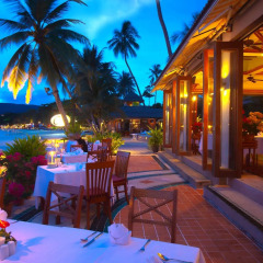 Отель Chaba Samui Resort питание фото 2