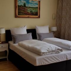 Отель Villa Lalee Германия, Дрезден - отзывы, цены и фото номеров - забронировать отель Villa Lalee онлайн фото 28
