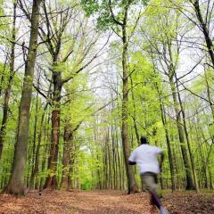 Отель Dolce La Hulpe Brussels Бельгия, Ла-Юлп - отзывы, цены и фото номеров - забронировать отель Dolce La Hulpe Brussels онлайн приотельная территория фото 2