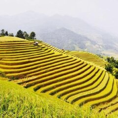 Отель Asiana Sapa Hotel Вьетнам, Шапа - отзывы, цены и фото номеров - забронировать отель Asiana Sapa Hotel онлайн спортивное сооружение