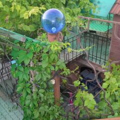 Гостиница Guest House on Turgeneva 172a в Анапе отзывы, цены и фото номеров - забронировать гостиницу Guest House on Turgeneva 172a онлайн Анапа фото 8