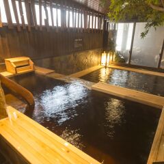 Отель Dormy Inn Toyama Natural Hot Spring Тояма с домашними животными