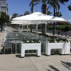 Отель Occidental Atenea Mar - Adults Only пляж
