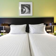 SANA Capitol Hotel комната для гостей фото 4