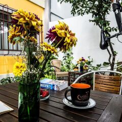 Отель Chalet del Carmen Coyoacán Мексика, Мехико - отзывы, цены и фото номеров - забронировать отель Chalet del Carmen Coyoacán онлайн фото 18
