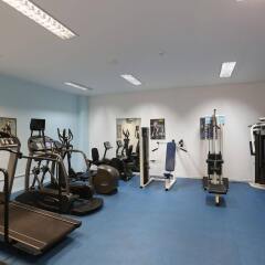 Отель Panthea Holiday Village Water Park Resort фитнесс-зал