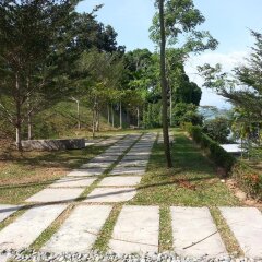 Отель Delite Guest House No 13 @ Batu Ferringhi фото 6