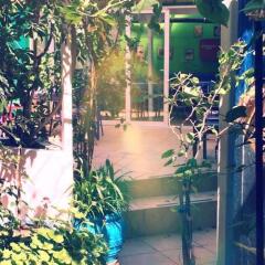 Dioskouros Hostel развлечения