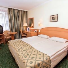 Отель Erzsebet Hotel City Center Венгрия, Будапешт - 6 отзывов об отеле, цены и фото номеров - забронировать отель Erzsebet Hotel City Center онлайн комната для гостей фото 3