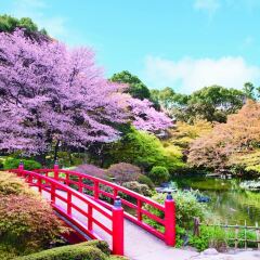 Отель New Otani (Garden Tower Wing) Токио фото 13