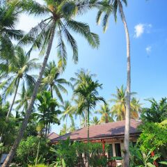 Отель Baan Chaweng Beach Resort & Spa Таиланд, Самуи - 13 отзывов об отеле, цены и фото номеров - забронировать отель Baan Chaweng Beach Resort & Spa онлайн фото 6