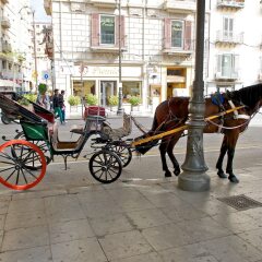 Mercure Hotel Palermo Centro городской автобус