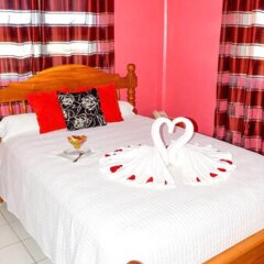 La Flamboyant Hotel in Roseau, Dominica from 107$, photos, reviews - zenhotels.com photo 9