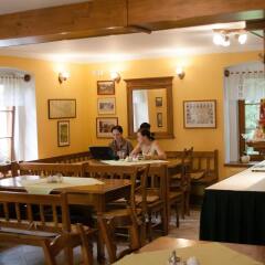 Отель Resort Stein Чехия, Хеб - отзывы, цены и фото номеров - забронировать отель Resort Stein онлайн питание фото 2