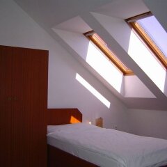 Hotel U Sládků комната для гостей фото 3