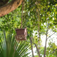 Отель Chitwan Adventure Resort Непал, Саураха - отзывы, цены и фото номеров - забронировать отель Chitwan Adventure Resort онлайн фото 18