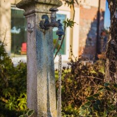 Отель Domus Rosarum Италия, Региональный парк Colli Euganei - отзывы, цены и фото номеров - забронировать отель Domus Rosarum онлайн фото 2