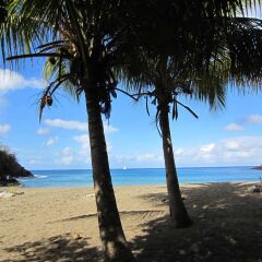 Enchanting Basse-terre Bungalow Just 150 Metres From Petite Anse Beach in Bouillante, France from 106$, photos, reviews - zenhotels.com beach