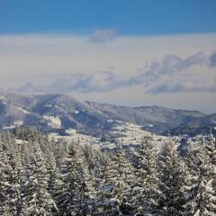 Отель Borovets Hills Resort & SPA Боровец