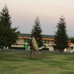 Отель 99 Palms Inn & Suites фото 4