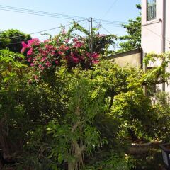 Отель Charming Homestay балкон