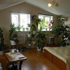 Гостиница Guest House Anastasiya в Анапе отзывы, цены и фото номеров - забронировать гостиницу Guest House Anastasiya онлайн Анапа интерьер отеля фото 3