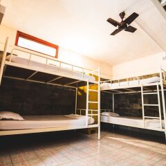 Отель Roadhouse Hostel Arambol Goa Индия, Северный Гоа - отзывы, цены и фото номеров - забронировать отель Roadhouse Hostel Arambol Goa онлайн фото 9