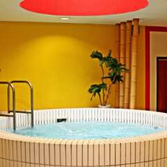 Hotel Hungaria City Center бассейн