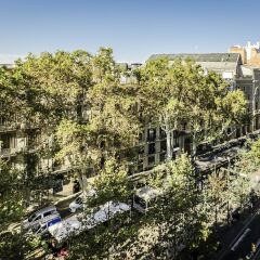 Отель Exe Ramblas Boqueria Испания, Барселона - 2 отзыва об отеле, цены и фото номеров - забронировать отель Exe Ramblas Boqueria онлайн фото 3