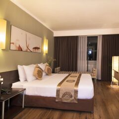 Отель Vien Dong Hotel Вьетнам, Хошимин - отзывы, цены и фото номеров - забронировать отель Vien Dong Hotel онлайн комната для гостей фото 2