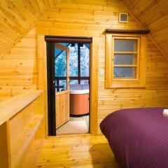 Отель Morino Lodge Hakuba Хакуба сауна