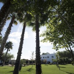 Отель Parco degli Aranci Кутрофьяно фото 7