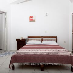 Отель Georgis Apartments Греция, Остров Санторини - отзывы, цены и фото номеров - забронировать отель Georgis Apartments онлайн комната для гостей фото 4