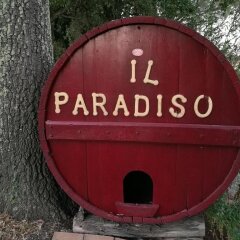 Отель Residence Il Paradiso Гуардисталло развлечения