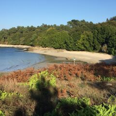 Отель Apartamento de playa a 20 minutos de Santiago пляж