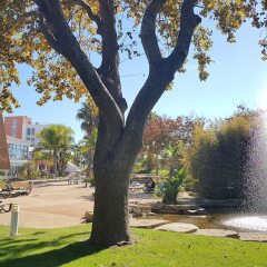 Отель Pestana Alvor Park Hotel Apartamento Португалия, Портимао - отзывы, цены и фото номеров - забронировать отель Pestana Alvor Park Hotel Apartamento онлайн фото 3