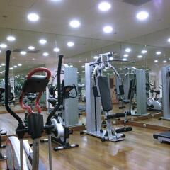 Hotel Nuevo Madrid спортивное сооружение