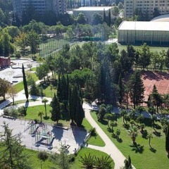 Гостиница Черное море развлечения фото 2