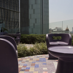 Отель Plaza Suites Mexico City Hotel Мексика, Мехико - отзывы, цены и фото номеров - забронировать отель Plaza Suites Mexico City Hotel онлайн фото 6