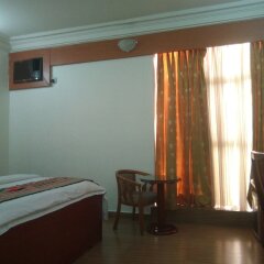 Ville Regent Hotel in Abuja, Nigeria from 93$, photos, reviews - zenhotels.com room amenities photo 2