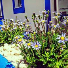 Отель Pure Flor de Esteva - Bed & Breakfast фото 6